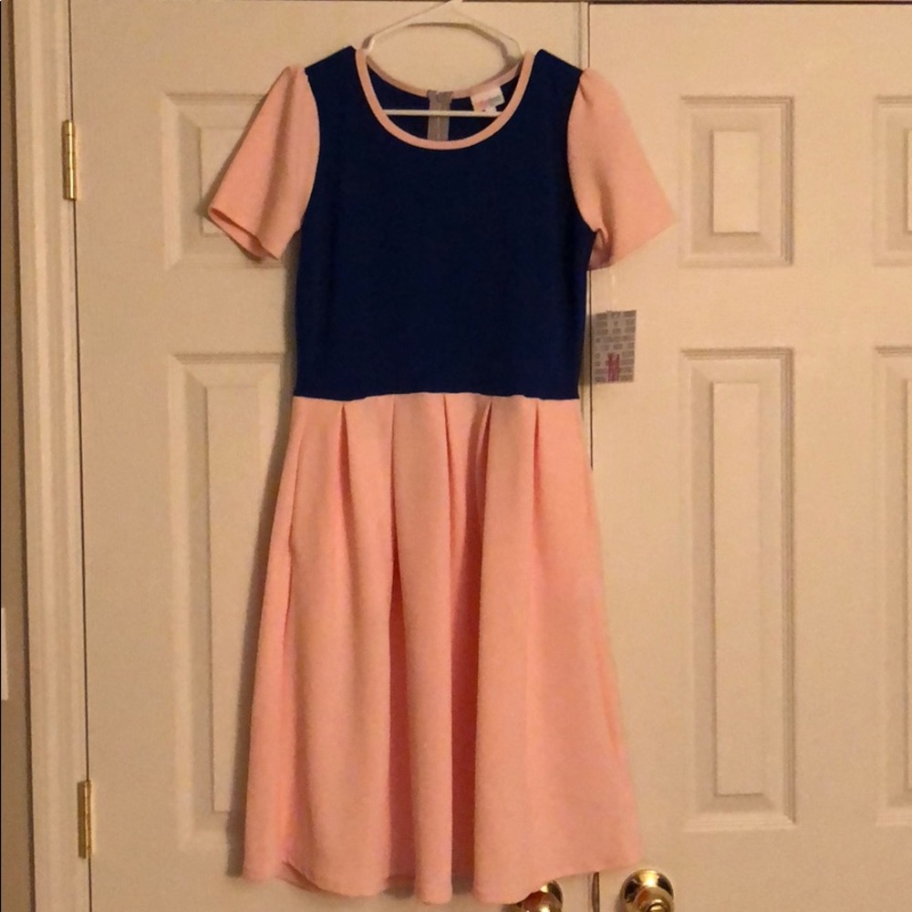 Lulatoe Medium Amelia Color bLock NWT pink blue
